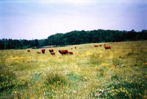 2012_Land3